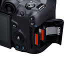 Canon EOS R7 with RF-S 18-150mm