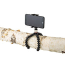 Joby GripTight ONE flexible gorillapod tripod holding smartphone on tree branch for stable photography and video