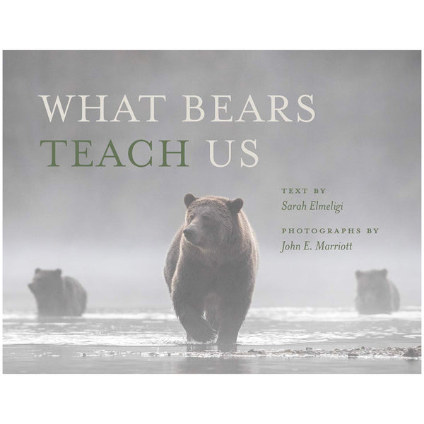 Sarah Elmeligi: What Bears Teach Us, with photographs by John Marriott