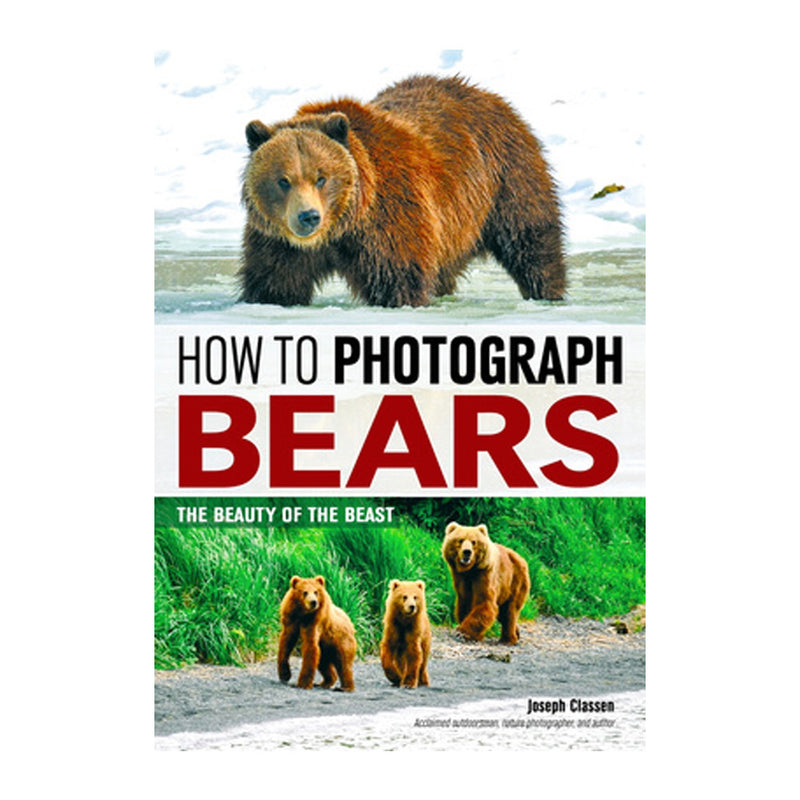 Joseph Classen: How to Photograph Bears , The Beauty of the Beast
