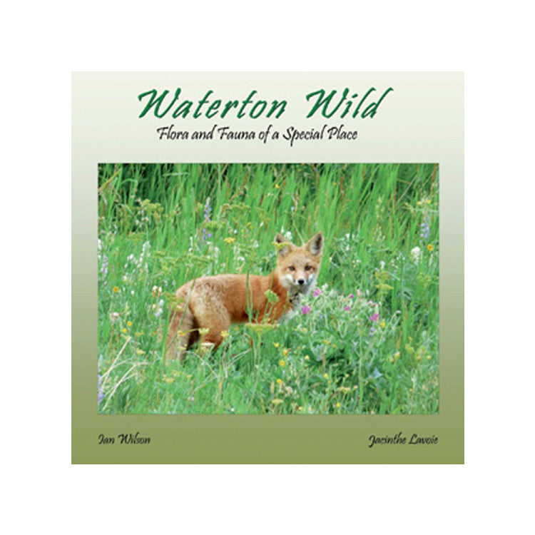 Ian Wilson: Waterton Wild