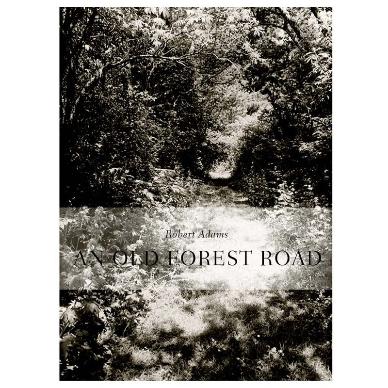 Robert Adams: An Old Forest Road
