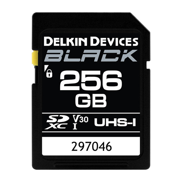 Delkin Black 256GB SDXC 90MB/s UHS I V30 Memory Card