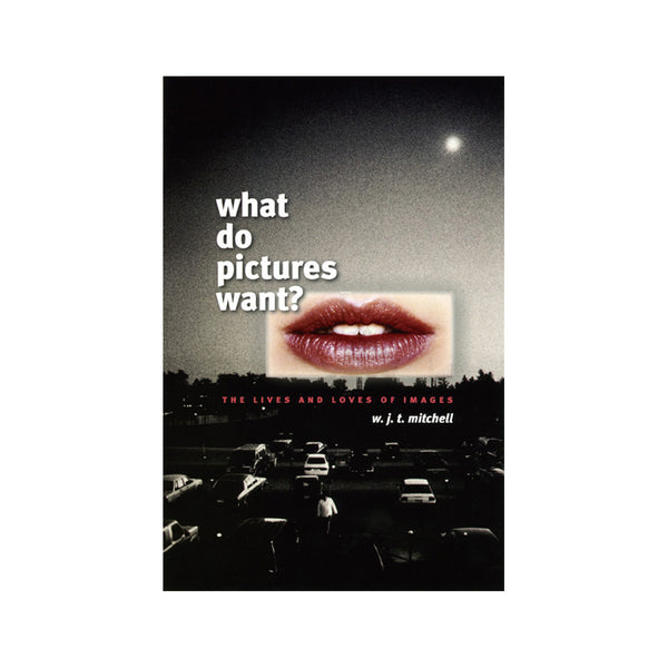 W.J.T. Mitchell: What Do Pictures Want?