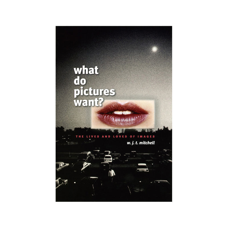 W.J.T. Mitchell: What Do Pictures Want?