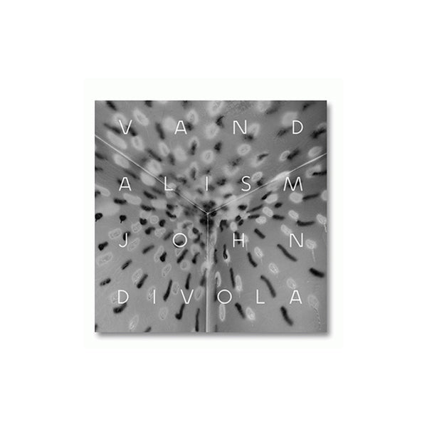 John Divola: Vandalism