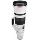 Canon EF 600mm f4 IS III USM