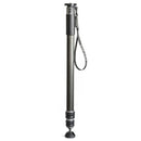 Gitzo GM4532 3-Section Carbon Fibre Monopod