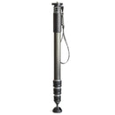 Gitzo GM4542 4-Section Carbon Fibre Monopod