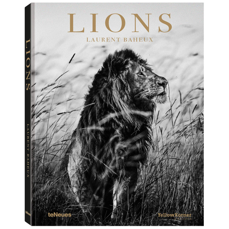 Laurent Baheux: Lions