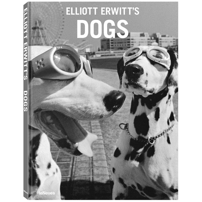 Elliott Erwitt's Dogs