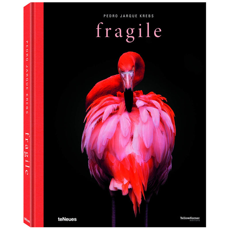 Pedro Jarque Krebs: Fragile