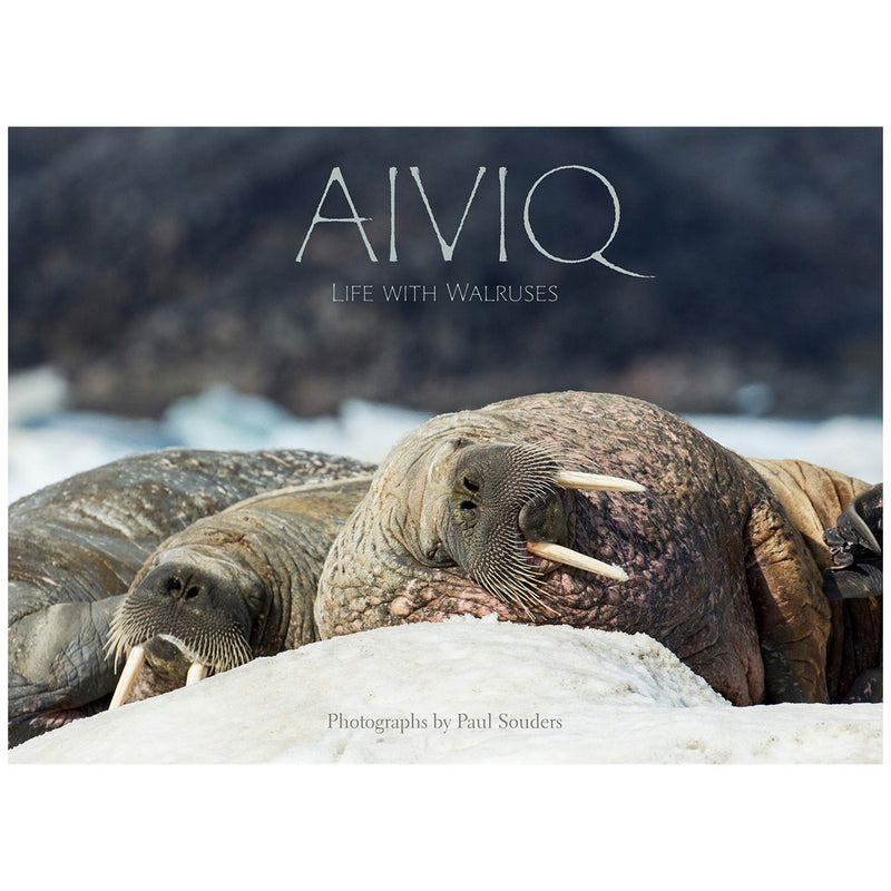 Paul Souders: Aiviq: Life with Walruses