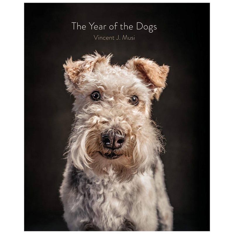 Vincent J. Musi: The Year of the Dog