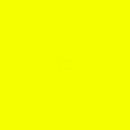 Lee 20x24" 100 Spring Yellow