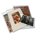 Printfile 8 1/2x11 Print Protectors