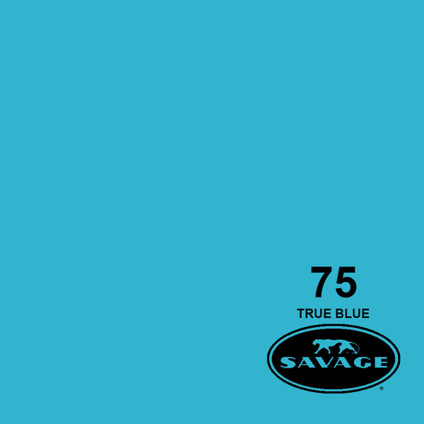 Savage 107"x12 Yards Seamless Paper Background - True Blue