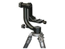 Wimberley WH-200 Ver. 2 Tripod Head