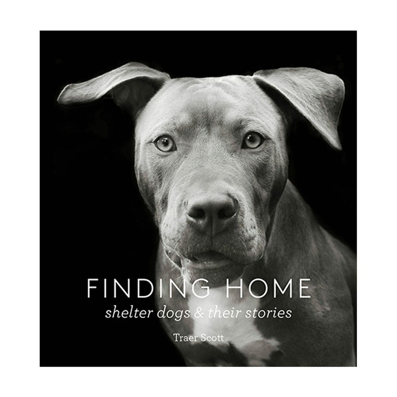 Traer Scott: Finding Home, Shelter Dogs and Their Stories