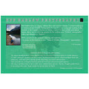 Rob Hadlow 6x9 photo card featuring bear cubs wrestling wildlife photography from Alberta