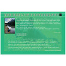 Rob Hadlow black bear photo card in dandelions wildlife photography