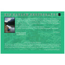 Rob Hadlow Great Grey Owl photo card 6x9 inches wildlife photography