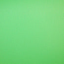 Savage 9x10' Vinyl Backdrop chroma green vinyl backdrop with matte finish for glare-free chromakey use
